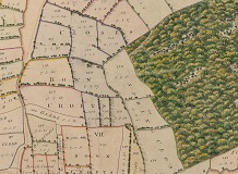 A close up section of a Brafferton parish map (PR BRAF 44/1) showing different field boundaries in various colours and a detailed illustration of the woodland