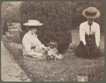 A black and white photograph from the Lady Violet Deramore archive showing ladies and their dogs at Heslington Hall, early 20th century