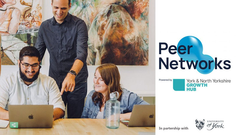Peer Networks Programme October 2020 - School for Business and Society ...