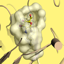 Structure-based drug design of an anti-Alzheimer's compound 