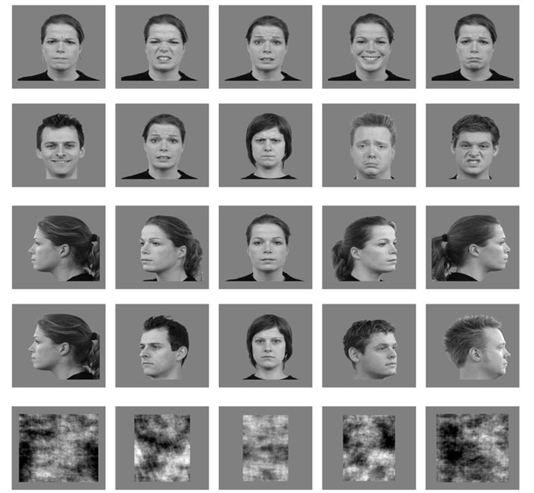Image: Visual stimulus for experiment measure the processing of changes in facial expression in autistic and schizophrenic individuals (top: same identity, bottom: different identity); changes in viewpoint (top: same identity, bottom: different identity); Fourier scrambled images of faces.