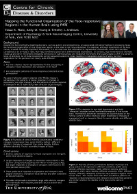Mapping the Functional Organization of the Face-responsive Regions in the Human Brain using fMRI
(Psychology, York Neuroimaging Centre)