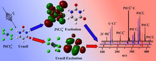 Inorganic Metal Complex-Biomolecule Aggregates to Model Photopharmacueticals