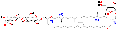 structure of an archael lipid mimic