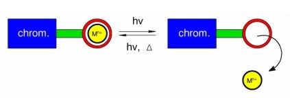 Scheme of light-controlled ion switch