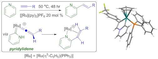 Pyridylidene figure