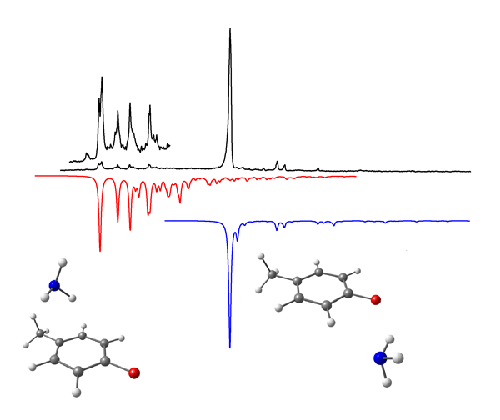 The presence of an electron-donating methyl group in p-fluorotoluene-ammonia stabilises the π-complex to the extent that bands associated with two conformers are seen in the REMPI spectrum. 