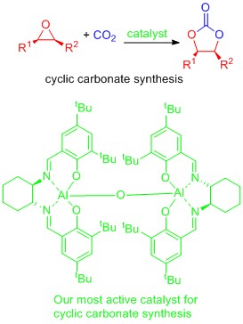 carbon dioxide as a feedstock reactions