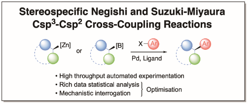 Stereospecific Negishi and Suzuki-Miyaura Csp3-Csp2 Cross-Coupling Reactions