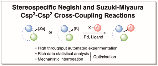 Stereospecific Negishi and Suzuki-Miyaura Csp3-Csp2 Cross-Coupling Reactions