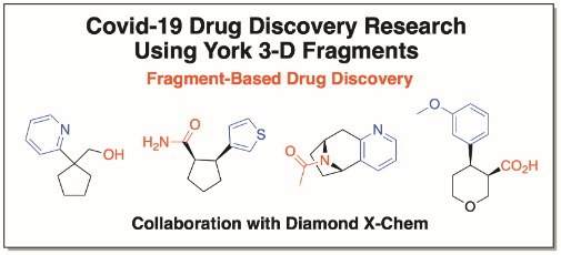 Covid-19 Drug Discovery Research Using York 3-D Fragments