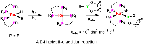 A B-H oxidative addition reaction