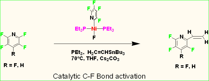 Catalytic C-F Bond Activation