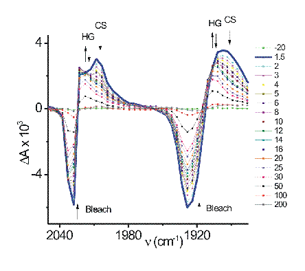 ultrafast IR spectra