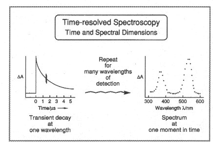 The time dimensions of time-resolved spectroscopy or laser flash photolysis