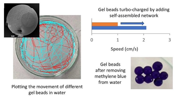 Plotting the movement of different gel beads in water and gel beads after removing methylene blue from water.