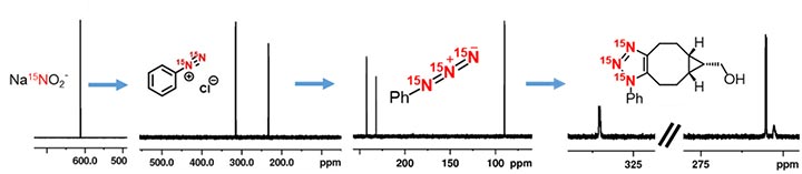 Using 15N-SABRE to probe a reaction pathway. Signals associated with each key species were detected in the spectrum.