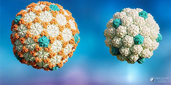 structure of heat-loving virus news