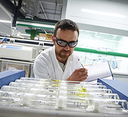 Researcher analysing samples in the lab