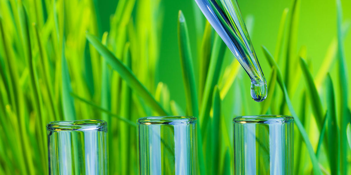 A pipette dropping clear fluid into a test tube against a green, plant filled background