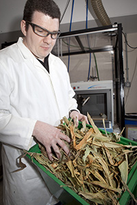 Dr Mark Gronnow working with biomass