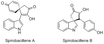 Structure of Sprobacillenes a and B