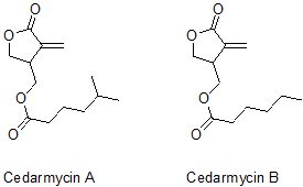 the chemical structure of cedarmycins a and b
