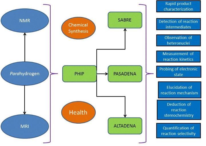 Applications for hyperpolarization derived from parahydrogen