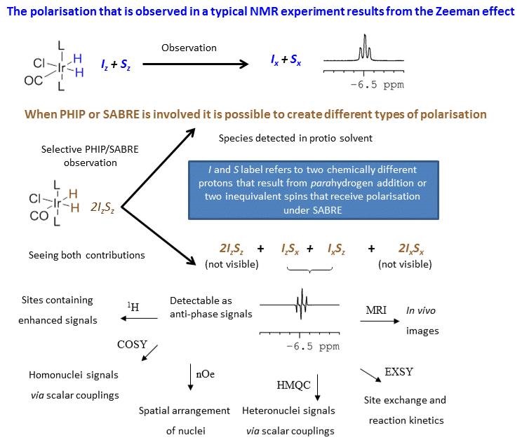 Polarisation observed in typical NMR experiment resulting from Zeeman effect