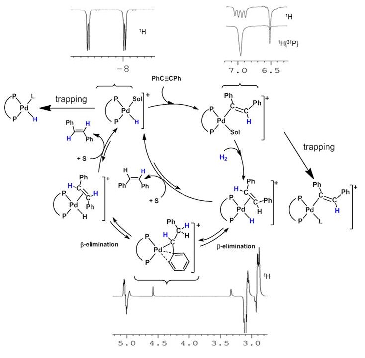 Reaction scheme illustrates how a number of palladium hydride complexes can be seen during a hydrogenation reaction