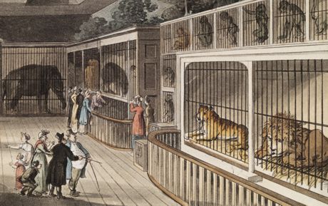 Cultures of Collection - Centre for Eighteenth Century Studies ...
