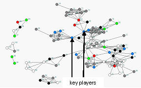 Giraffe neck pattern network