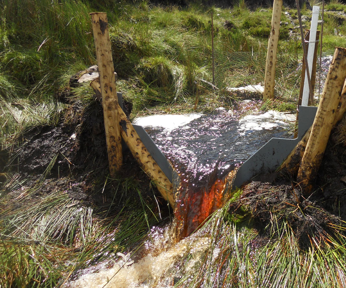 Peatland water flow.