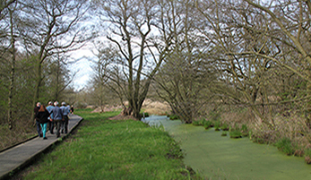 People walking by a stream