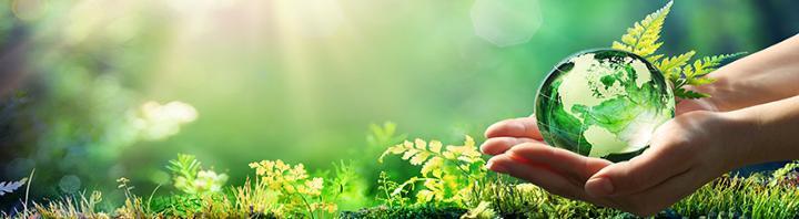 Hand holding a globe in a woodland setting