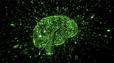 Digital image of brain
