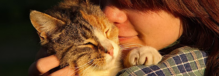 Person holding a cat