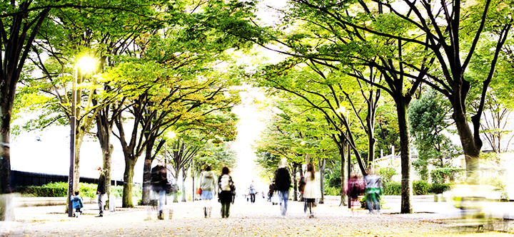 People walking along an avenue