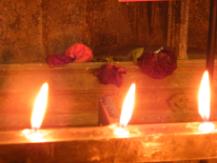 candles in front of roses