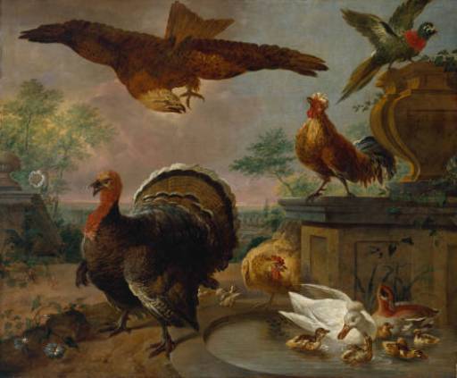 A Turkey and other Fowl