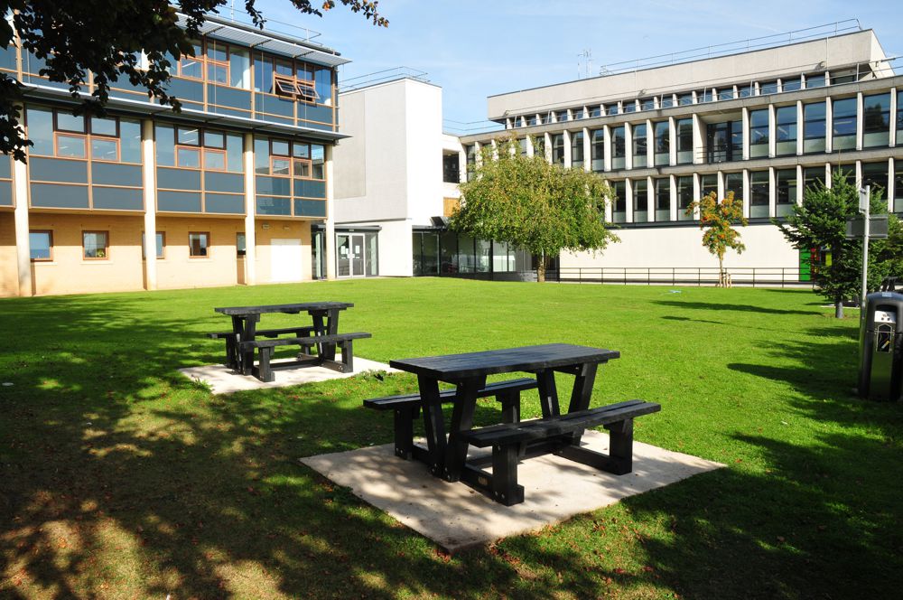 Picnic tables on the Fairhurst Lawn