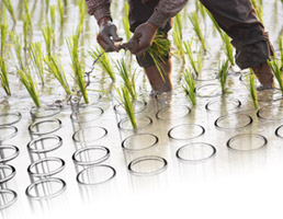 Image showing a farmer and test tubes