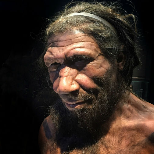 Compassion helped Neanderthals to survive, study reveals
