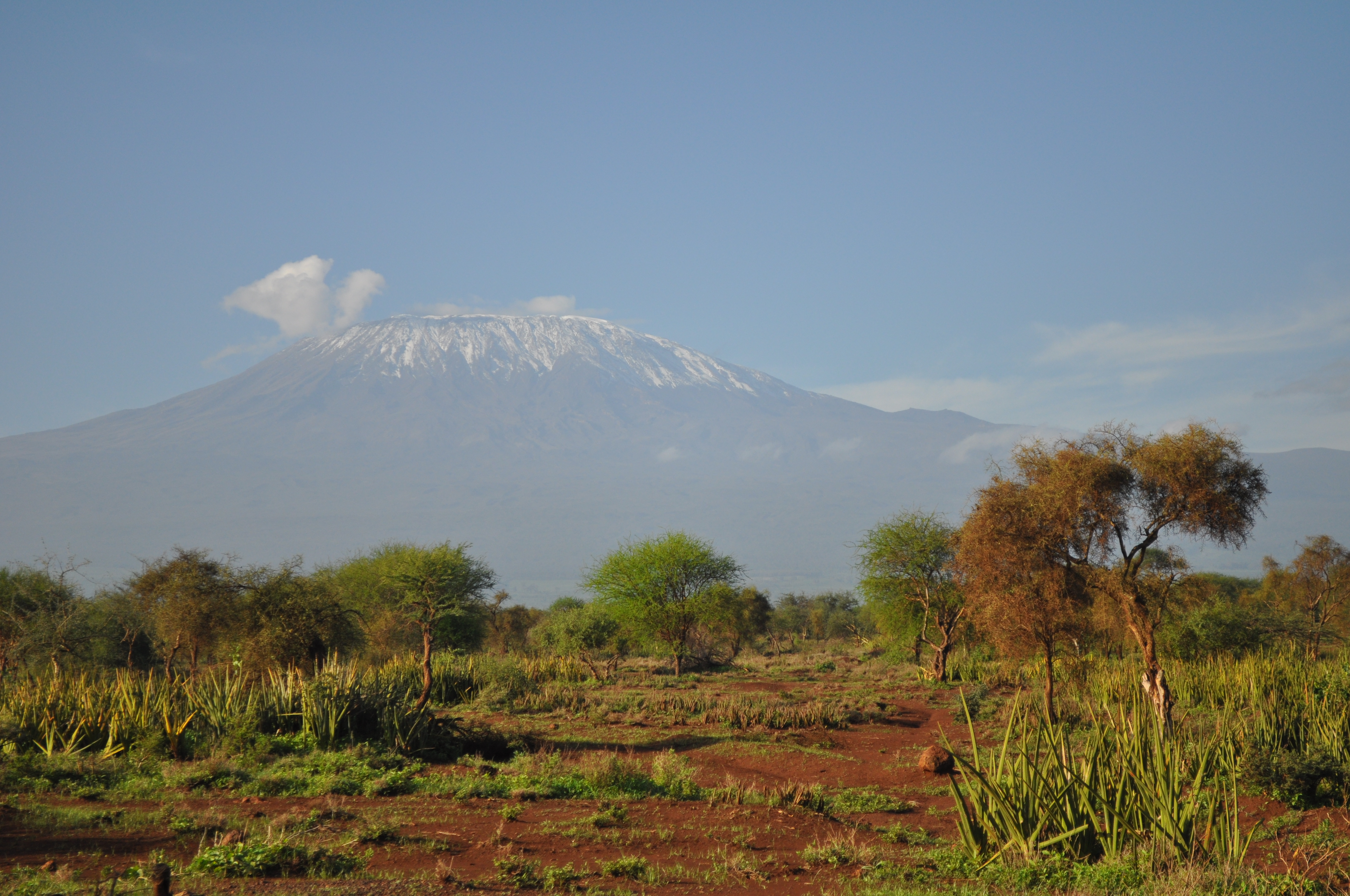 Image: View of Mount Kilimanjaro from Kenya