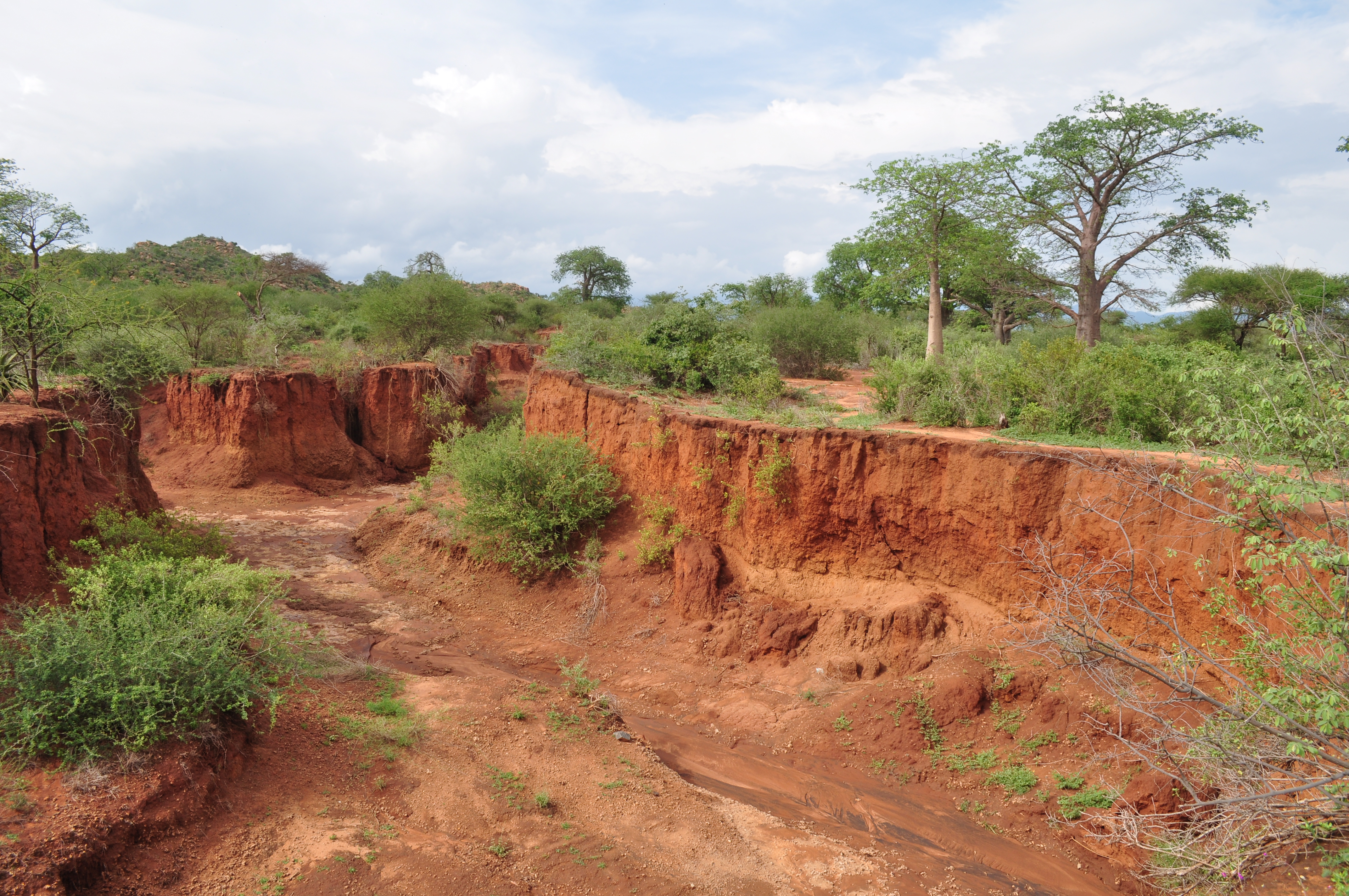 Image: Erosion gully in Northern Tanzania