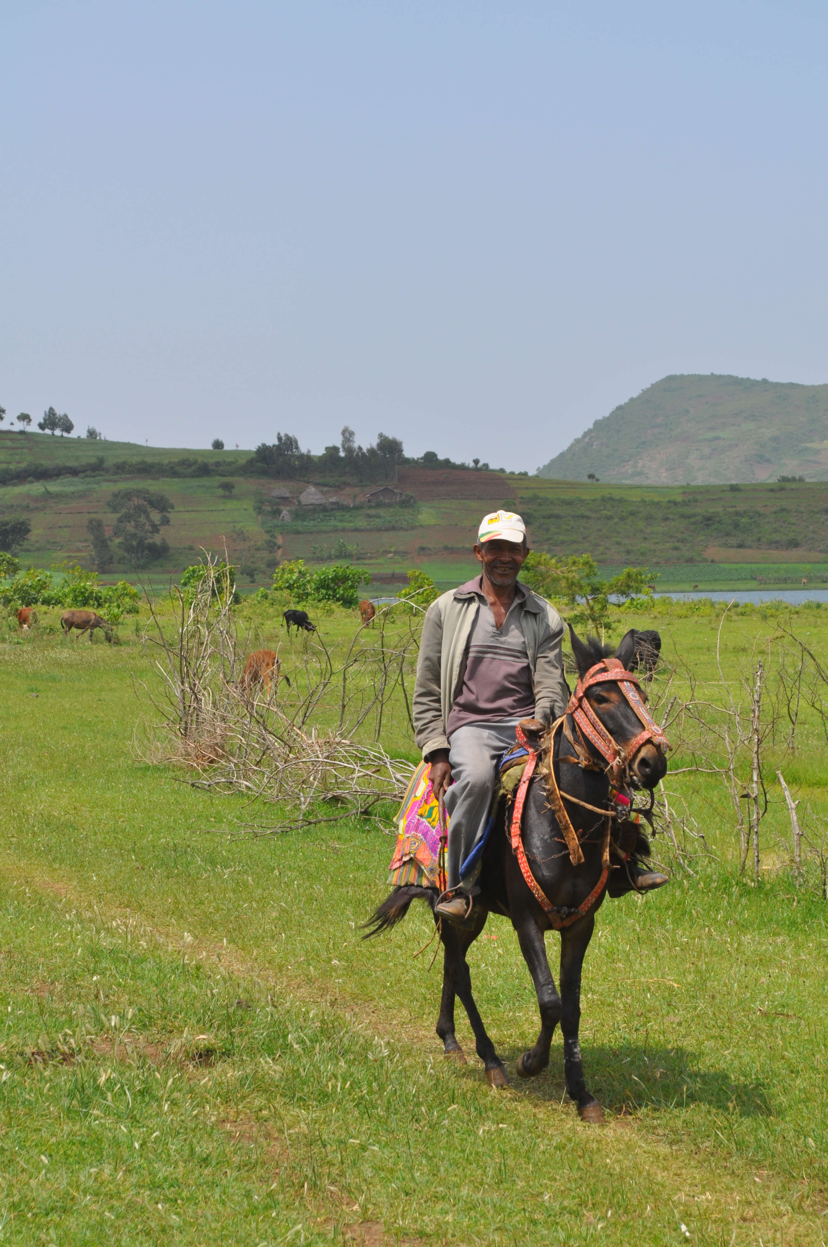 Image: Man on horseback in the Gamo Highlands, Ethiopia