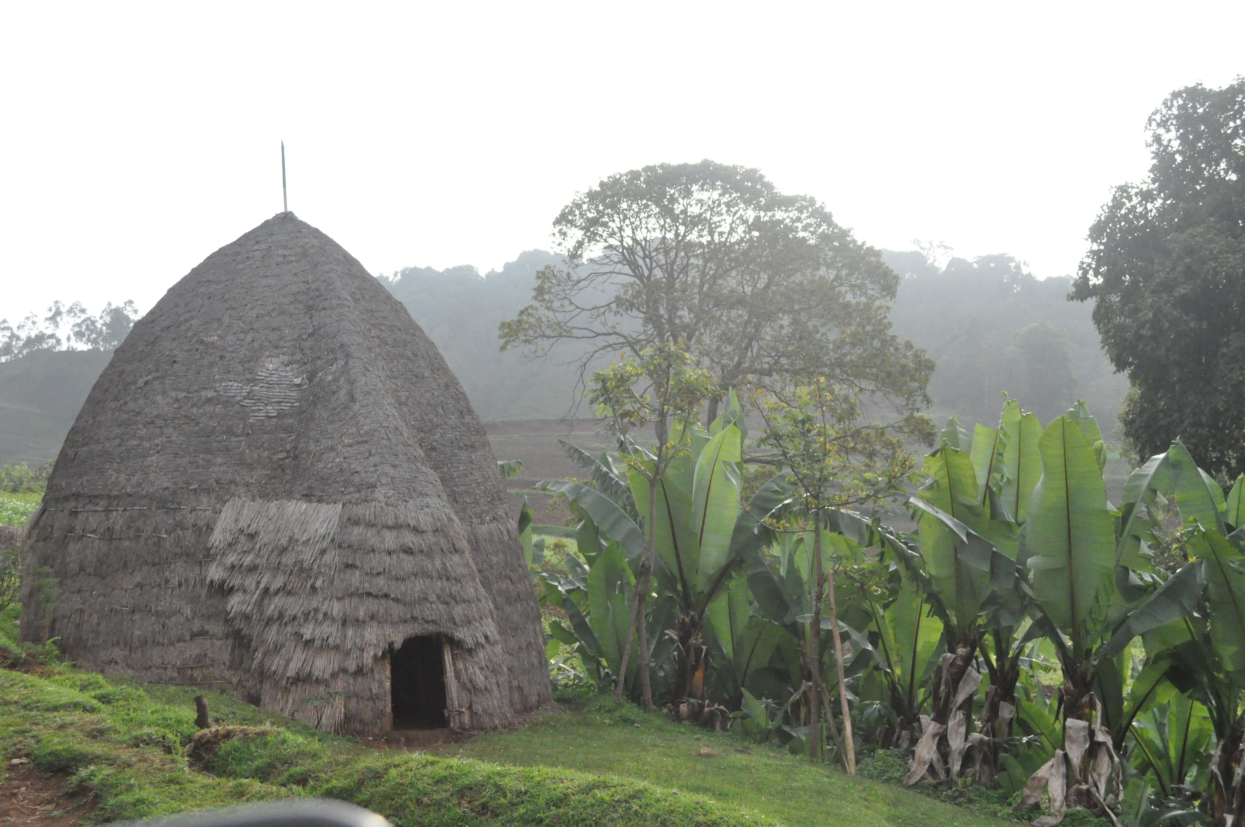 Image: Typical agricultural household with mixed crops in Ethiopia