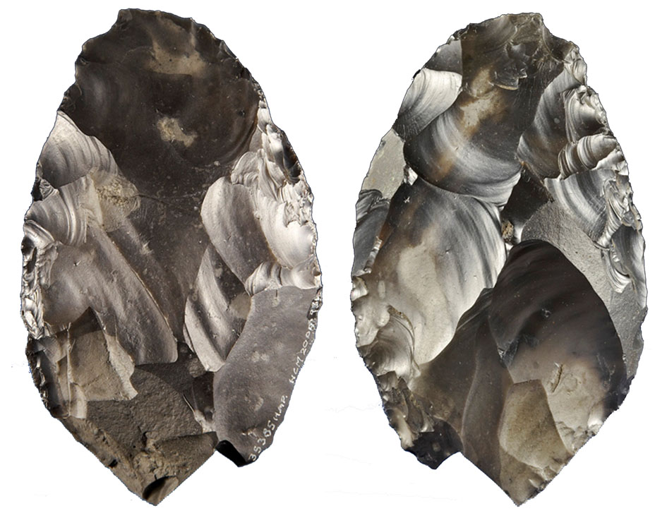 Image: Happisburgh handaxe c 0.8 - 0.6 million years old. Credit: Portable Antiquities Scheme.