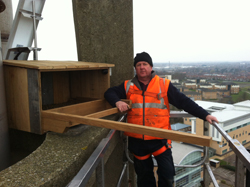 A nest box with a view has been installed on the University of York’s 60-metre high boiler house chimney in a bid to attract Peregrine Falcons to the campus.