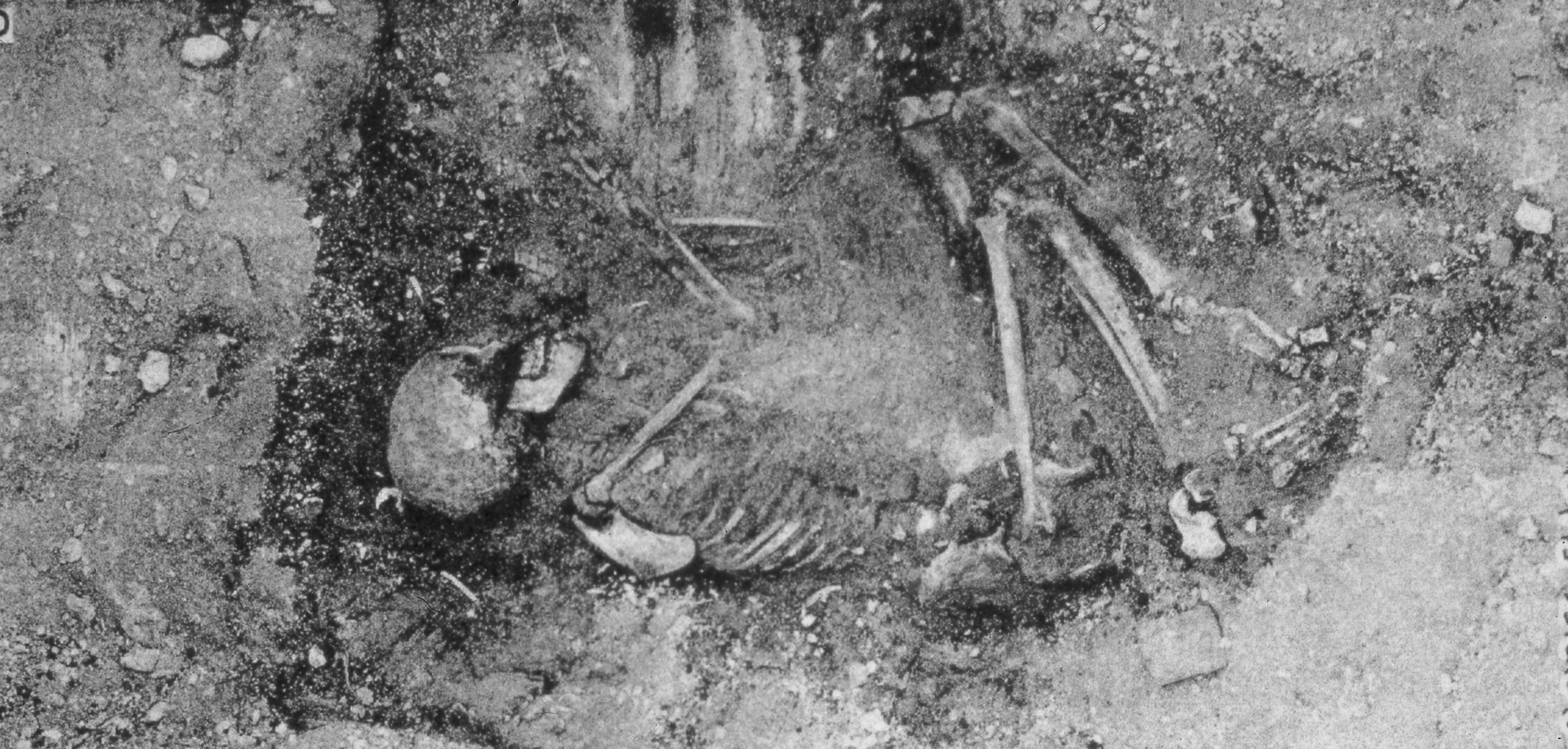 Image: Grave 2223, Mostagedda. Late Neolithic/Badarian. Credit: G. Brunton, Mostagedda and the Tasian Culture (London 1937) Pl. VI.
